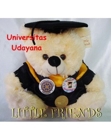 Boneka Wisuda Universitas Udayana - Teknik Mesin (30 cm)